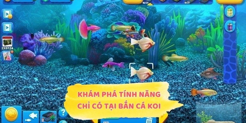 Khám phá những tính năng chỉ có tại bắn cá KOI